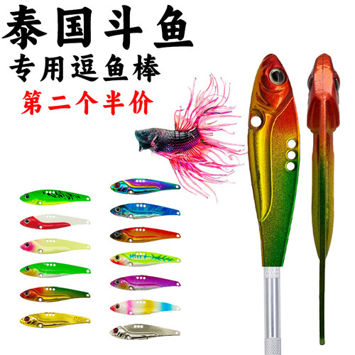 斗鱼棒泰国斗鱼逗鱼棒逗鱼神