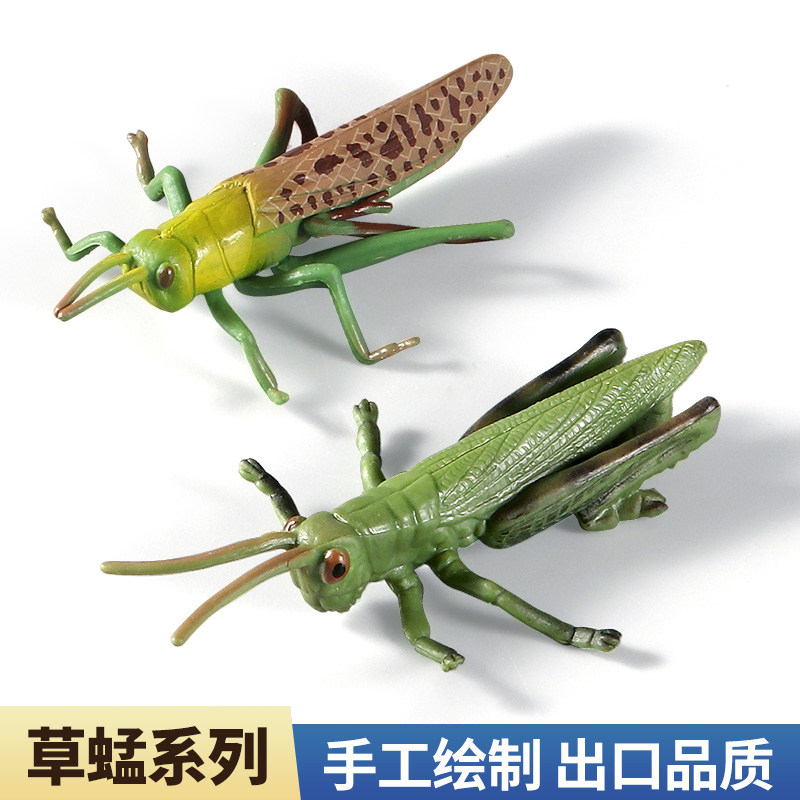 仿真草蜢模型实心塑胶昆虫动物玩具蝗虫蚱蜢蚂蚱儿童男孩认知摆件