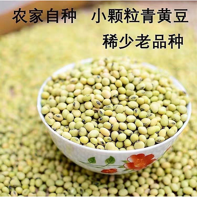 老品种黄豆打豆浆专用非转基因农家自种湖北恩施土小黄豆绿皮黄豆