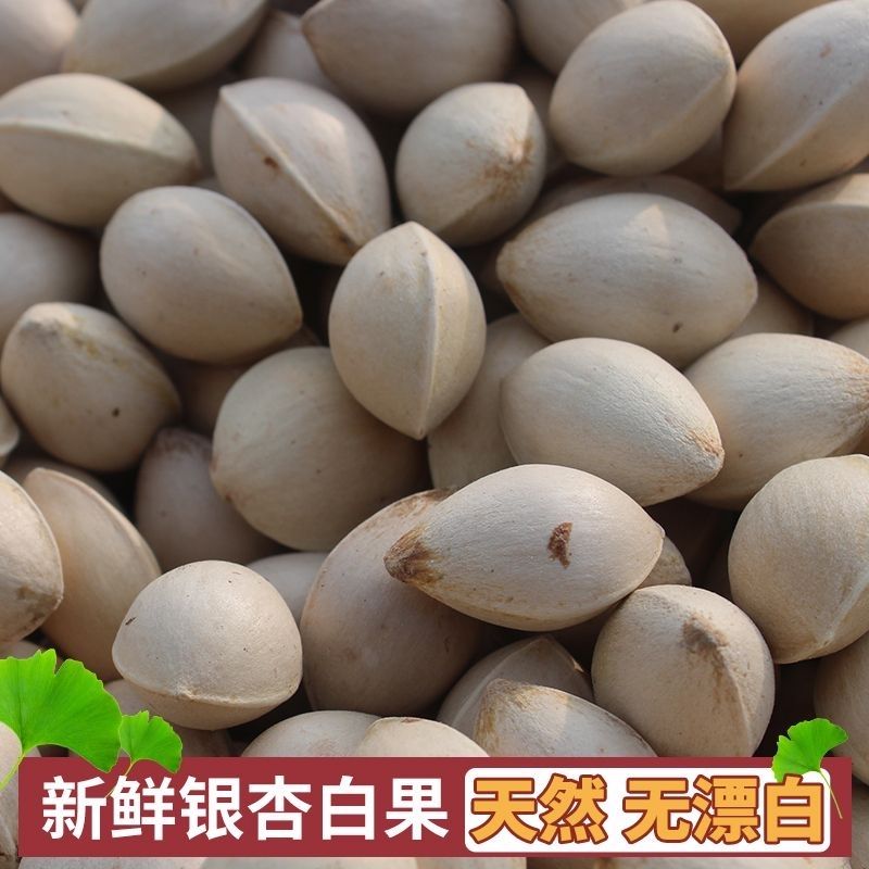2025新鲜白果子银杏果生百果仁无漂白带壳白果特产美味包邮
