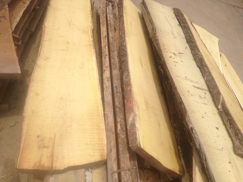 桑木木材桑树板材原木硬木木料