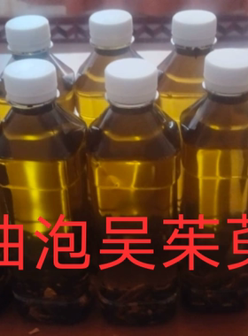 广西樟树精油老樟树提取纯天然驱寒去湿气泡吴茱萸精油