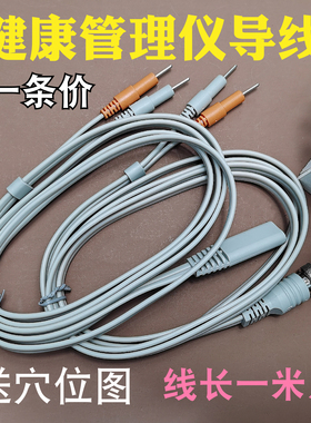 丽福健波动仪诶茵诶健康管理康养仪养生仪美容仪器输出导线电疗线