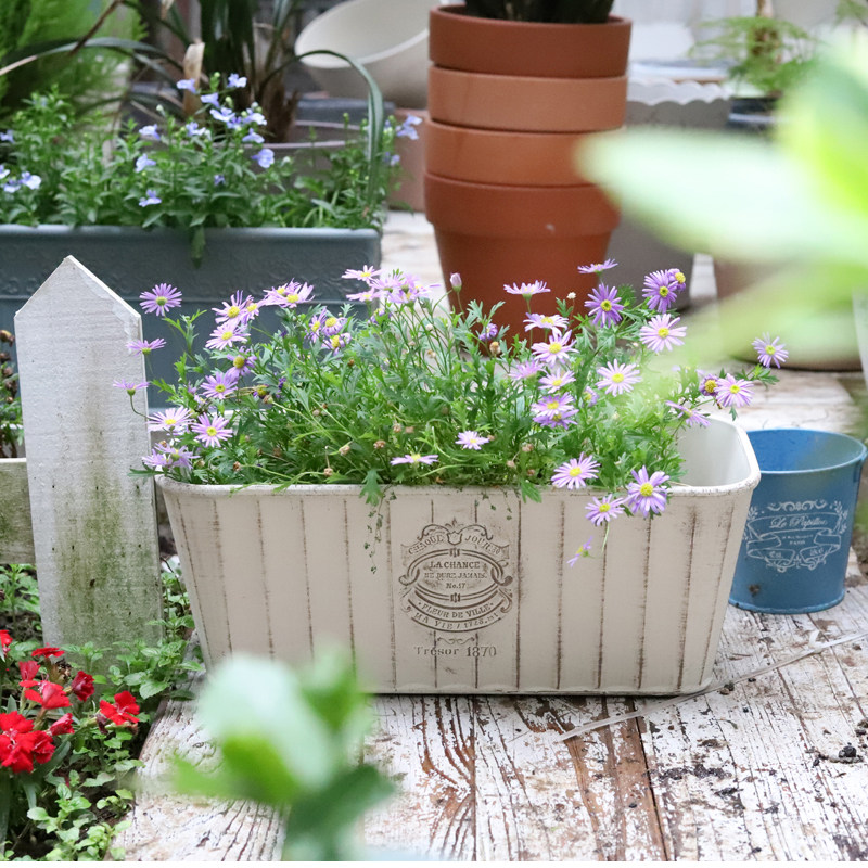 艺品园艺 做旧加厚字母长方形树脂花盆,鲜花速递/花卉仿真/绿植园艺,花盆,淘宝优惠券,粉丝福利购,淘宝优惠卷