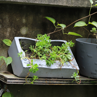 盆栽 花盆青苔多肉植物盆景桌面摆件加厚 做旧白书本式 艺品园艺