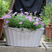 艺品园艺 做旧白波浪花边字母椭圆形花盆