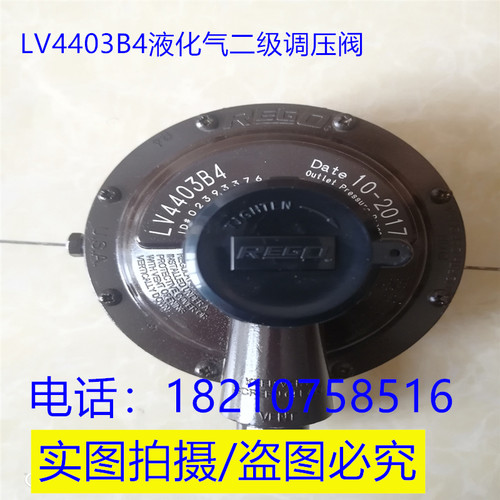 REGO美国力高减压阀LV4403b4