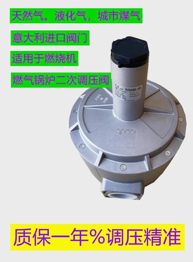 GECA燃气减压阀 RG050-1B基卡调压阀RG050-FT-1B带过滤稳压阀