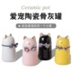 宠物猫咪骨灰盒 可爱卡通收藏坛去世火化殡葬善后纪念 福猫善后罐