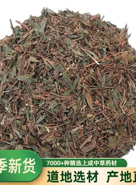 鸡眼草 中药材 三叶人字草 掐不齐 老鸦须 铺地锦 500克包邮