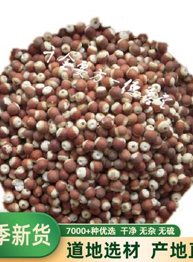 芡实优选鸡头米鸡米头新鲜芡实米干货欠实茨实新货500g 免费打粉