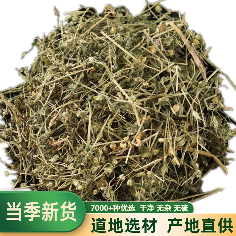 中药材 小米草 芒小米草 小米草 500克