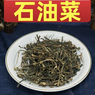 广西甘肃新货新款上市中草药石油菜石觅菜肥猪菜打不死疳积草包邮