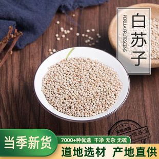 苏子鸟食新白苏子鸟粮鹦鹉玉鸟芙蓉鸟金丝雀黄雀薄皮软苏子500克