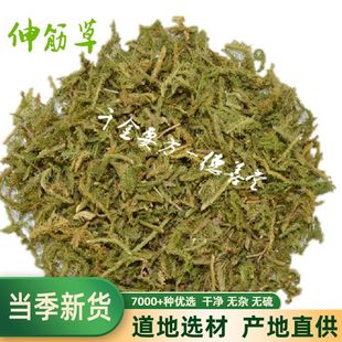 中药材伸筋草舒筋草石松狮子尾大伸筋草500克 海风藤