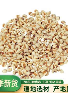 中药材 薏仁薏苡仁新货薏米贵州薏仁米农家薏米仁500g包邮