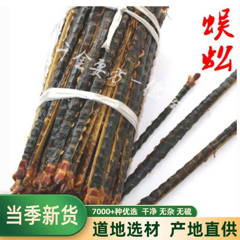 蜈蚣按条卖13-14公分土元中药材