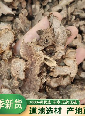 落新妇 中药材落新妇 金毛三七 马尾参 铁火钳 红升麻 虎麻 500克