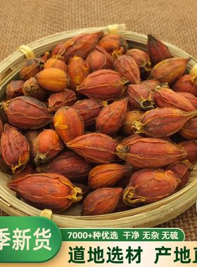 中药材栀子500g红小栀子果栀子泡茶黄栀子干栀子干姜汤栀子粉