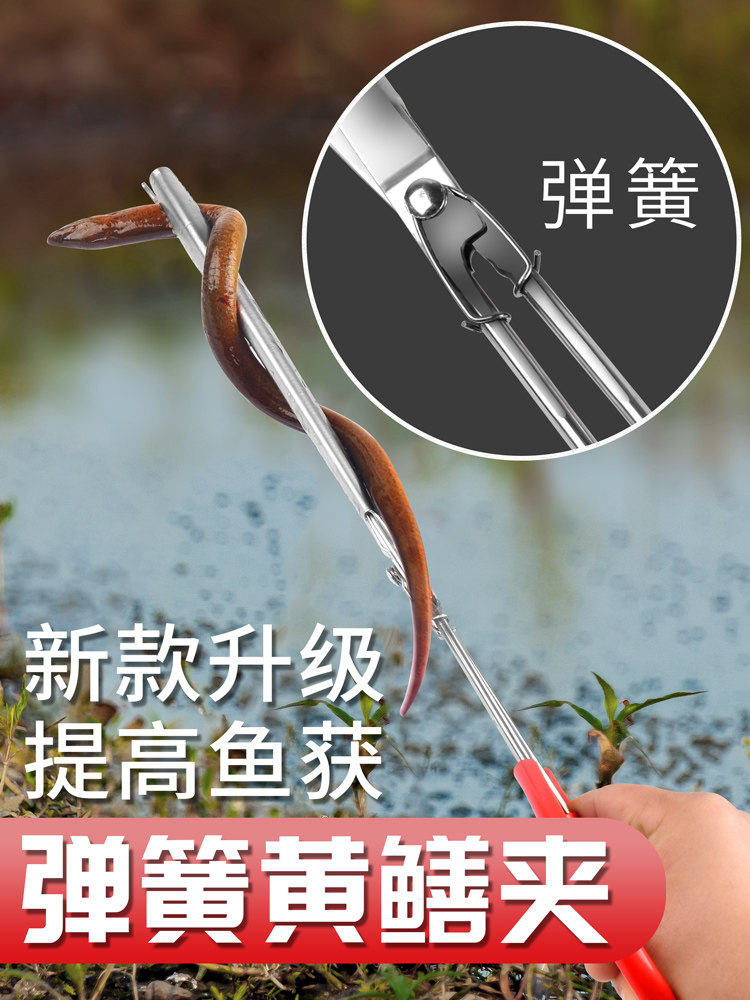 黄鳝夹子不锈钢鳝鱼夹防滑抓泥鳅神器螃蟹钳子赶海专用工具捕鱼器