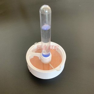 蚂蚁新后巢 平面巢小群 介质保湿 干湿分离 猛蚁适合 各种都能养