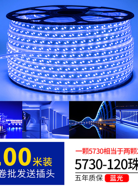 led灯带100米户外工程亮化超亮防水暖光220V外墙蓝色变光装饰灯条