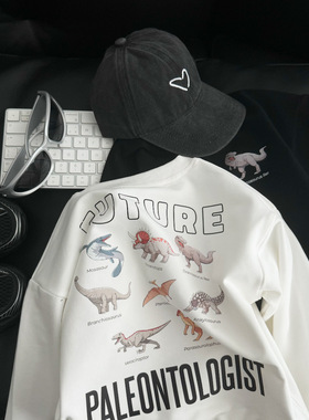 日系韩版儿童卡通恐龙棉卫衣春秋季男女童可爱休闲宽松上衣套头衫