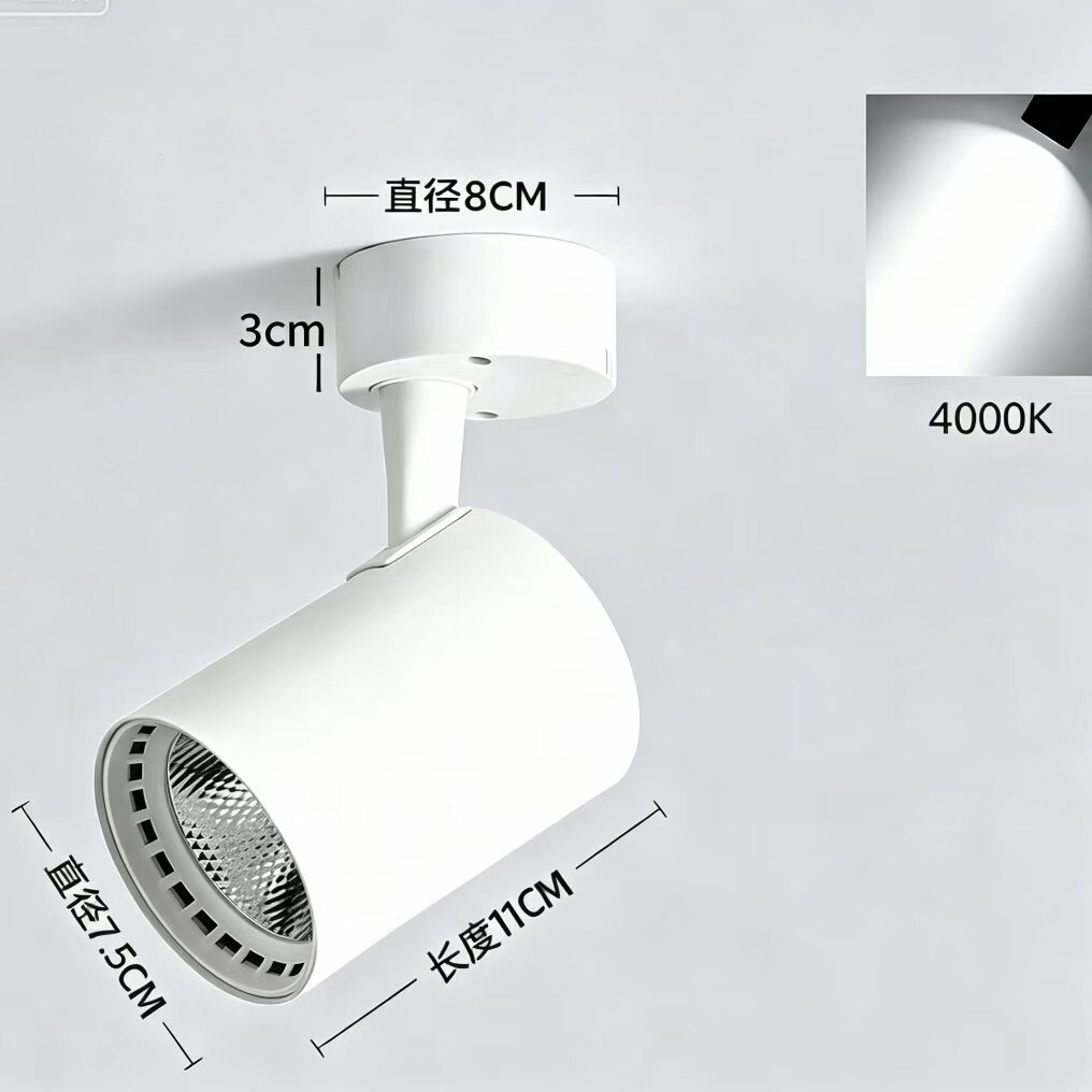 24V 明装射灯筒灯LED吸顶式餐车灯低压设备用灯4000K自然光射灯