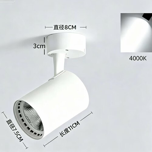24V 明装射灯筒灯LED吸顶式餐车灯低压设备用灯4000K自然光射灯