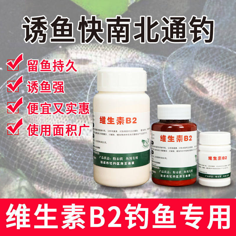 钓鱼维生素B2添加剂鲫鲤鱼泡米开胃配方Vb核黄素鱼饵维生素b2原粉