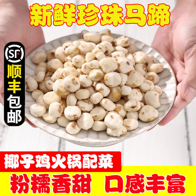 荸荠新鲜珍珠小马蹄椰子鸡火锅图片