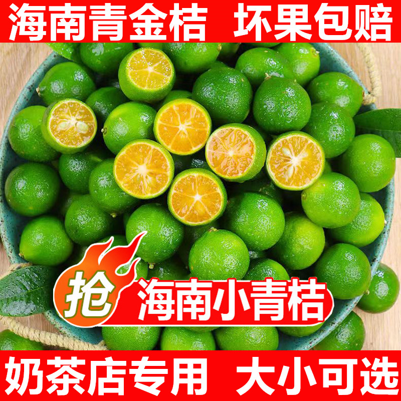 小青金桔新鲜包邮水果3斤青柠小青桔海南青金橘免邮非柠檬桔子