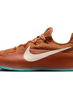 Nike LeBron TR 1 棕绿色 男款 低帮 休闲运动篮球鞋FJ6151-200