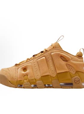 Nike棕色男女同款复古篮球鞋