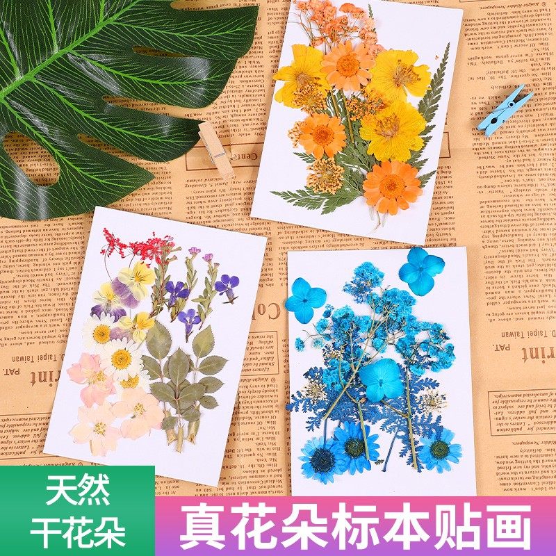 透明手工树叶花瓶diy制作材料包纸质儿童绘画标本瓶子美术创意树