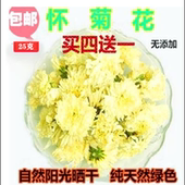 包邮 胎菊茶食用野生怀菊花100克 河南正品 焦作干怀菊花养生菊花茶