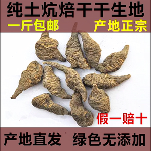 河南特产新鲜生地黄生地黄