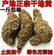 正宗河南特产干生地黄中药材特产生地焦作新鲜生地黄片个子500克