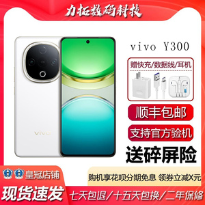 vivo Y300 抗摔护眼直屏 超级扬声器 6500毫安大电池5G智能手机