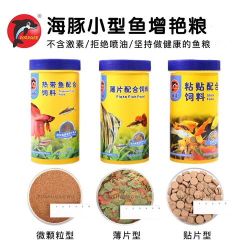 海豚小型热带粘贴薄片