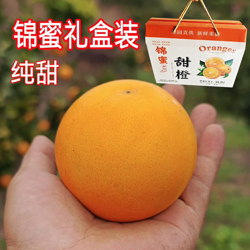 锦蜜9斤麻阳纯甜浓甜不酸甜橙