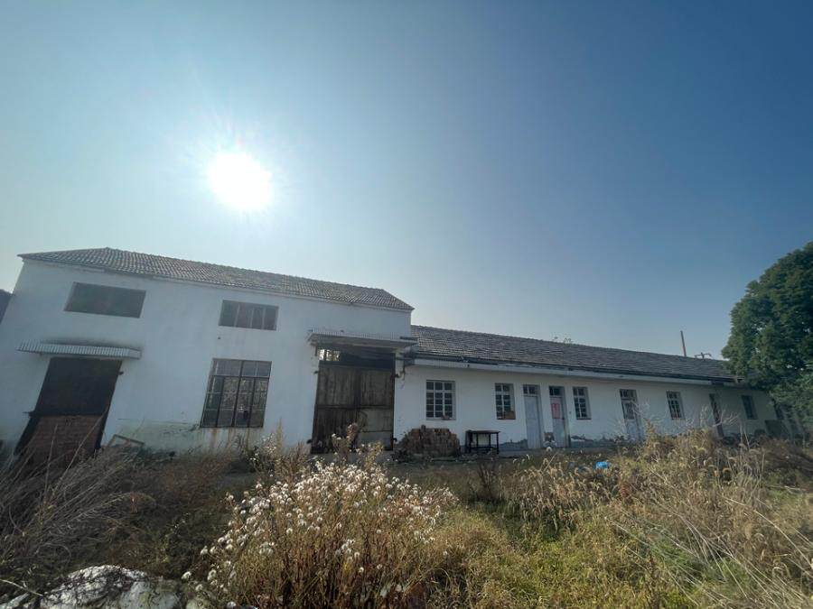 5月25日盐城市食品公司不动产及附属设施网络拍卖公告