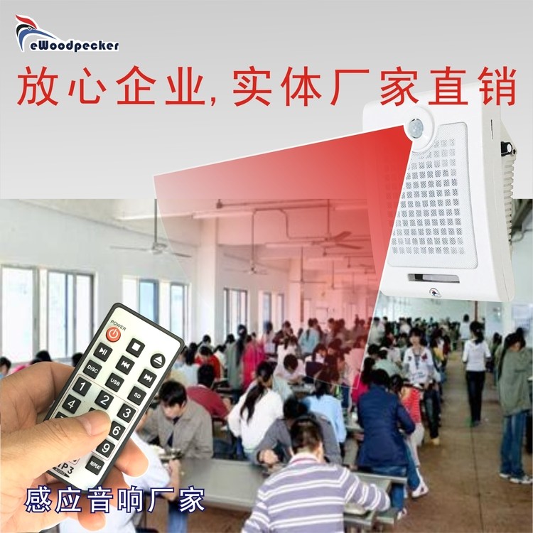 饭馆 食堂 人体感应自动语音播放讲解挂墙式音箱带遥控厂家MO19-5