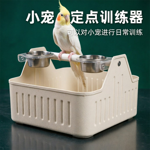 和尚小太阳鹦鹉桌面定点排便站架拉屎神器训练互动厕所定制垃圾桶