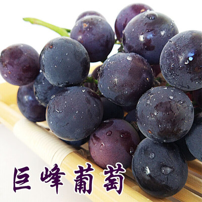 巨峰葡萄新鲜孕妇水果整箱包邮应当季酸甜口现摘东北辽峰葡萄