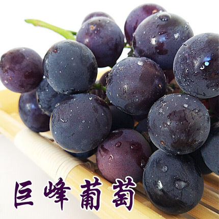 巨峰葡萄新鲜孕妇水果整箱包邮应当季酸甜口现摘东北辽峰葡萄