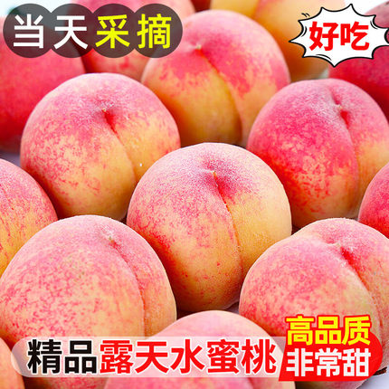 正宗水蜜桃脆桃子新鲜水果当季水果现摘毛桃新鲜水果整箱5斤包邮