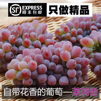 茉莉香葡萄新鲜水果整箱当季现摘红提孕妇郁金香薄皮无籽葡萄提子