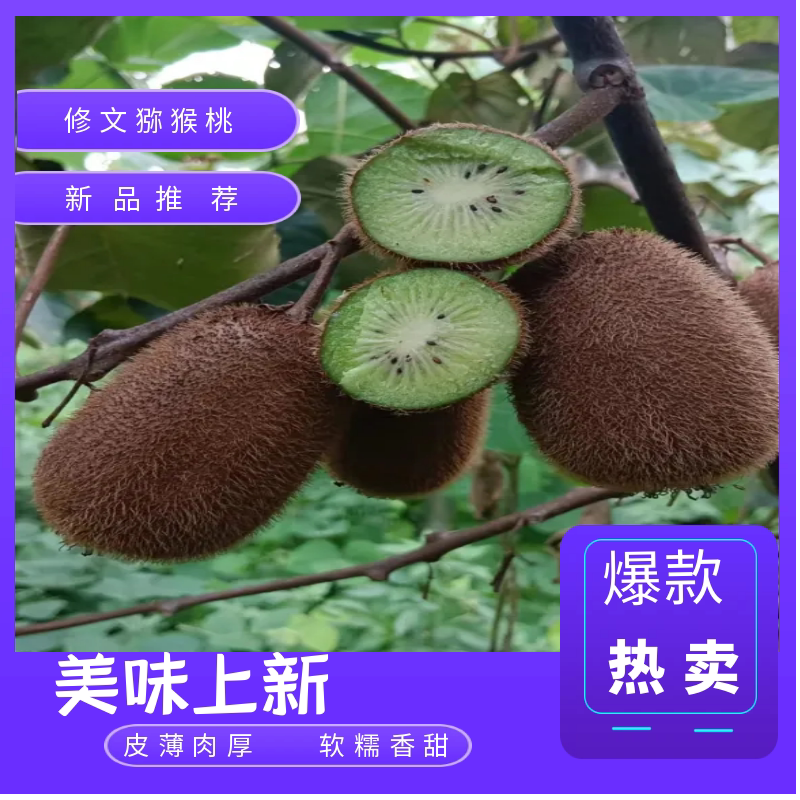 0-8猕猴桃修文软糯香甜老少皆宜图片