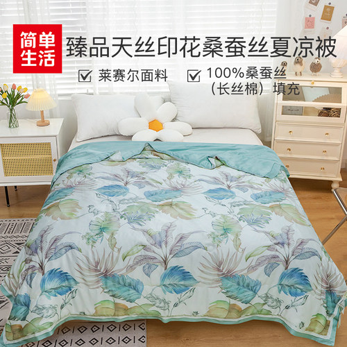 简单生活珍品可水洗蚕丝被